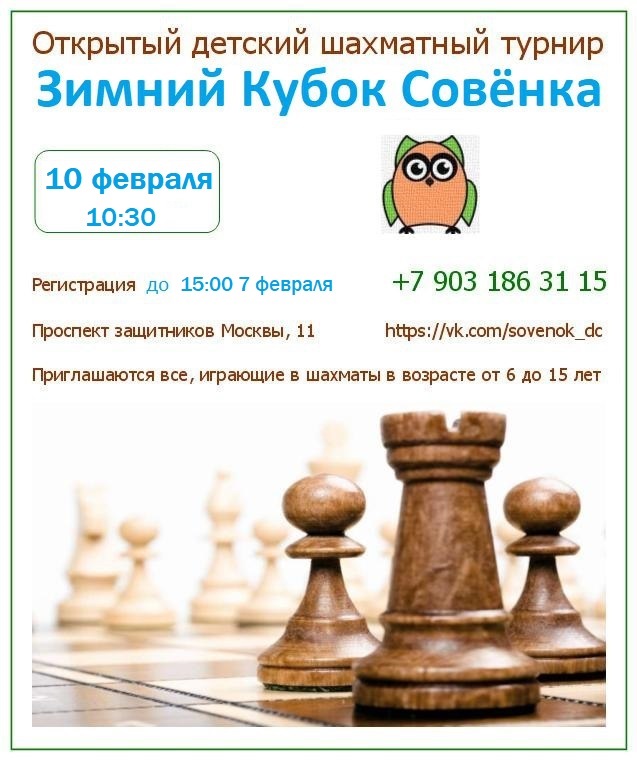 Шахматный турнир в Некрасовке февраль 2019