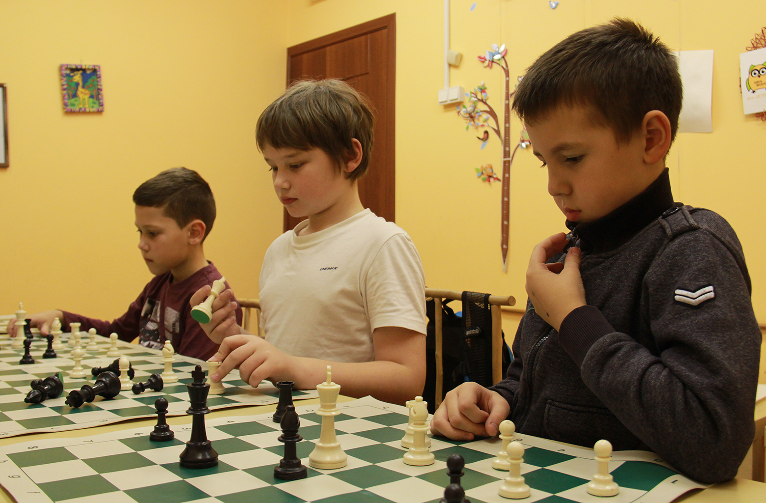 Шахматы в Некрасовке